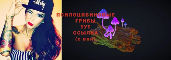 эйфоретик Кирсанов