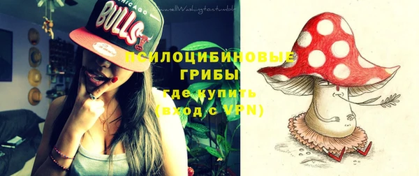 альфа пвп Печоры