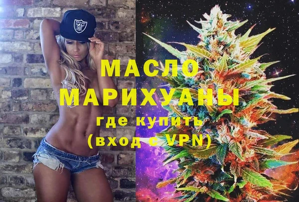 винт Ельня