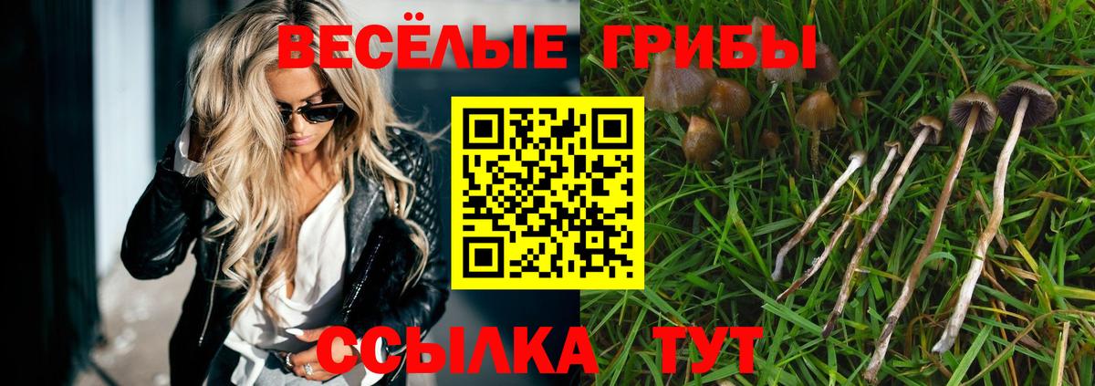 Галлюциногенные грибы Cubensis  Вход с VPN  купить  цена  Реж 